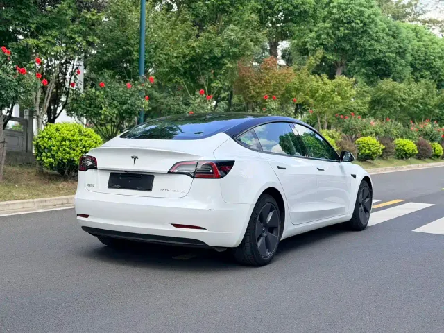 Tesla Model 3 — Фото автомобиля 4