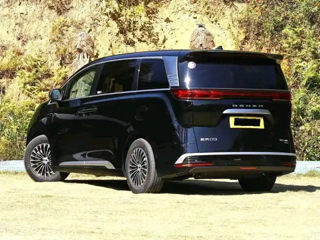 Denza D9 — Фото автомобиля 6