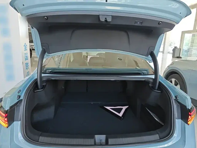 Volkswagen Passat — Фото автомобиля 14