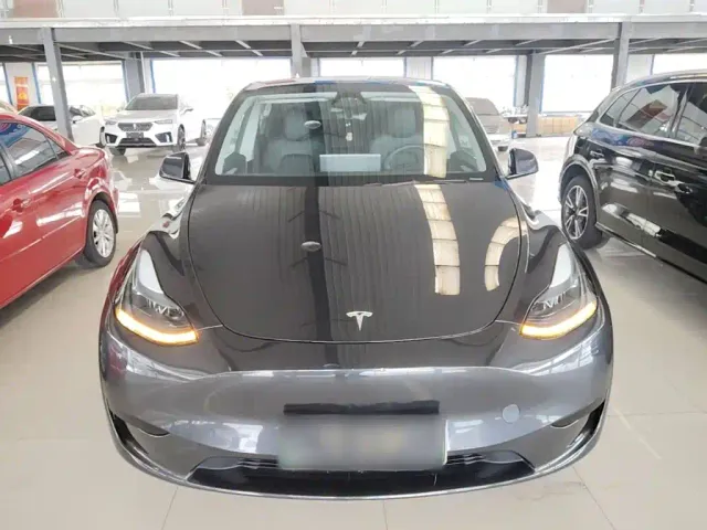 Tesla Model Y — Фото автомобиля 2