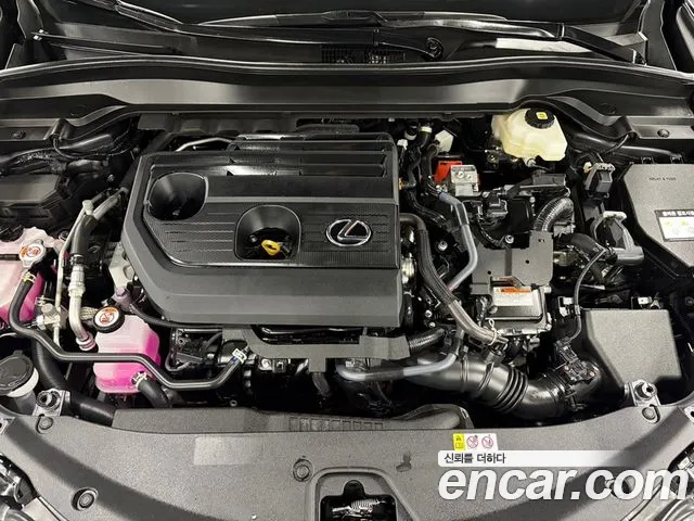 Lexus UX UX300h — Фото автомобиля 16