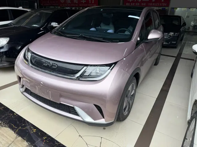 Фотография автомобиля — BYD Dolphin