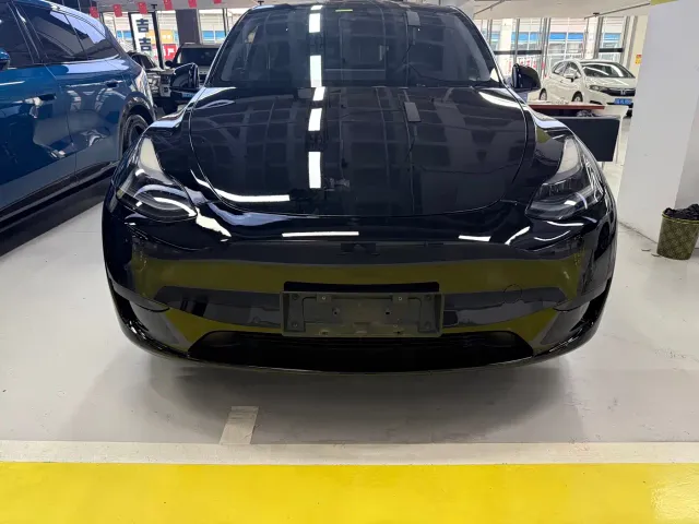 Tesla Model Y — Фото автомобиля 2