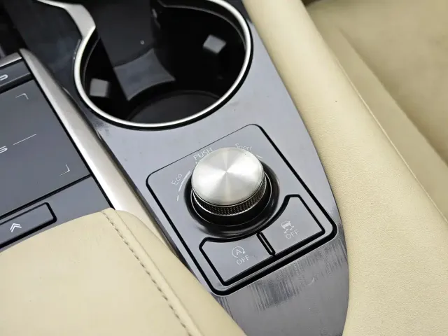 Lexus RX — Фото автомобиля 21