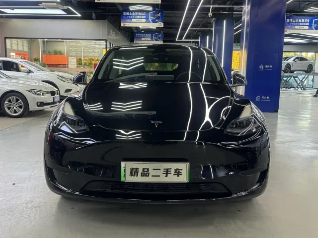 Tesla Model Y — Фото автомобиля 2