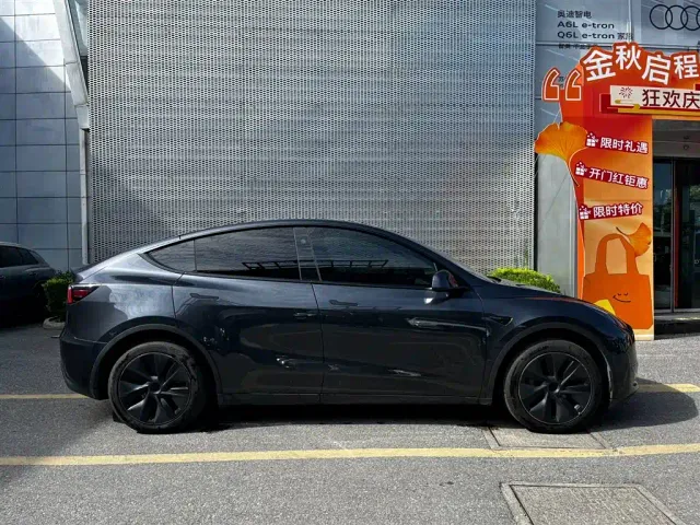 Tesla Model Y — Фото автомобиля 4