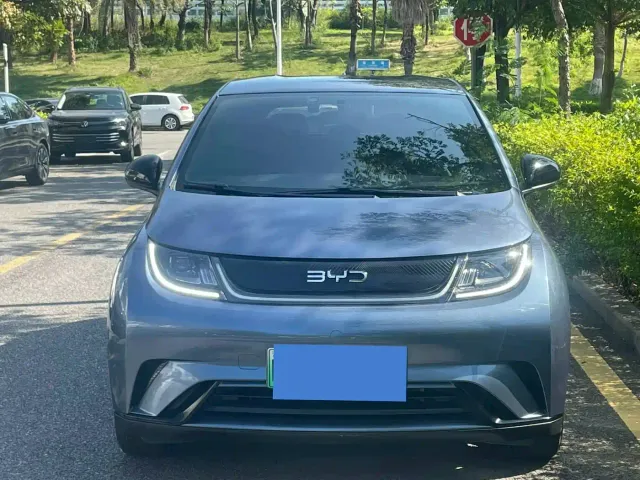 BYD Dolphin — Фото автомобиля 2