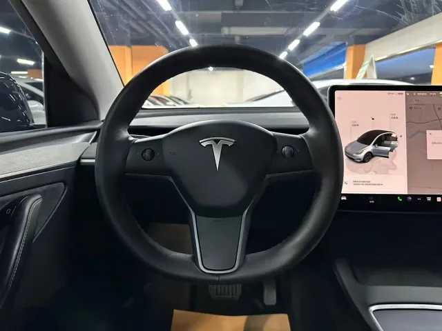 Tesla Model Y — Фото автомобиля 10