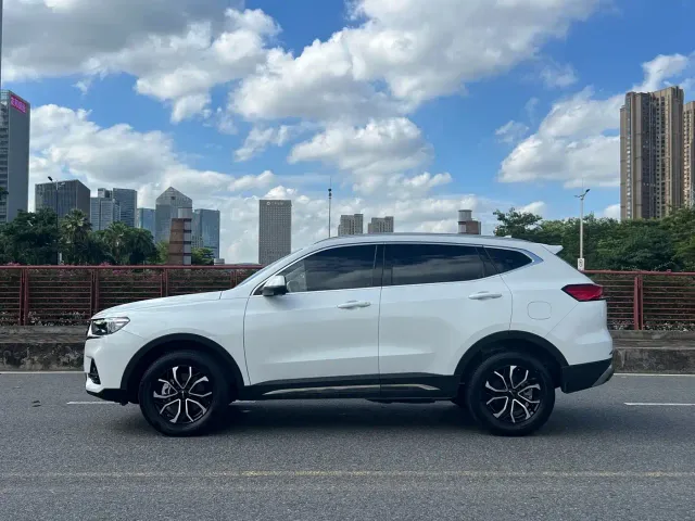 Haval H6 — Фото автомобиля 7