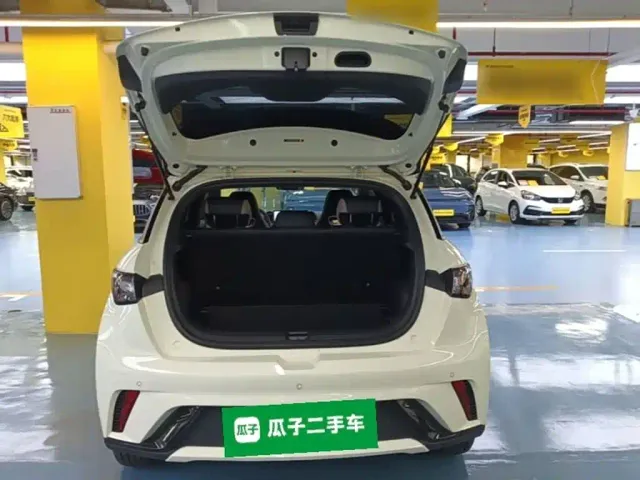 BYD Dolphin — Фото автомобиля 18