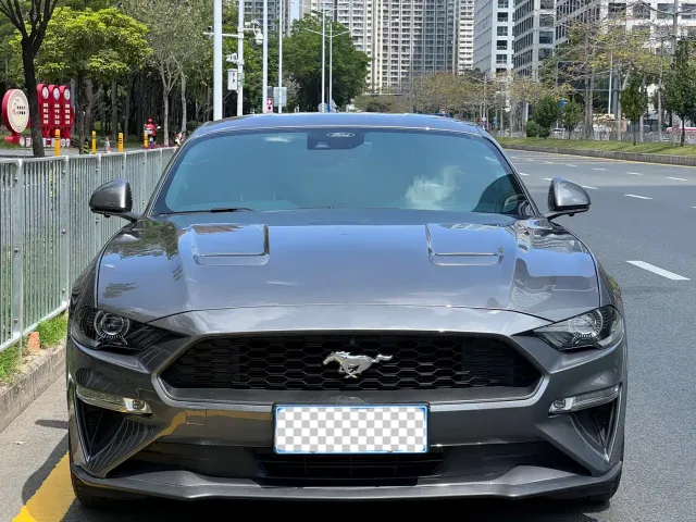 Ford Mustang — Фото автомобиля 2