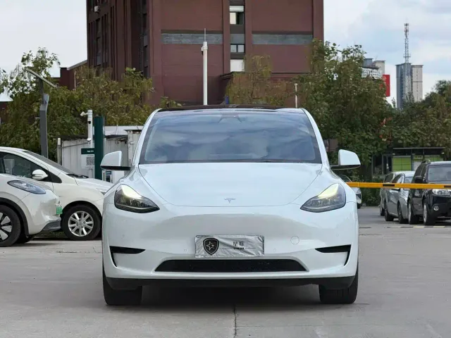 Tesla Model Y — Фото автомобиля 2