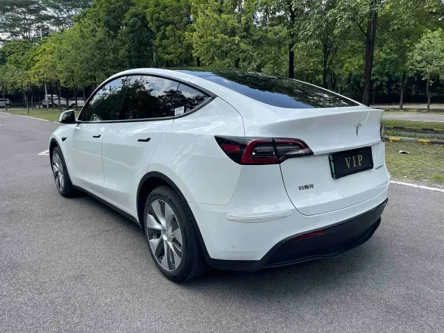 Tesla Model Y — Фото автомобиля 4