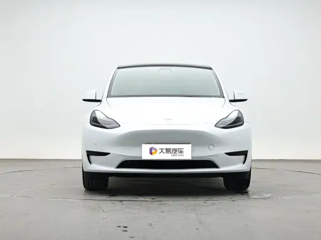 Tesla Model Y — Фото автомобиля 2