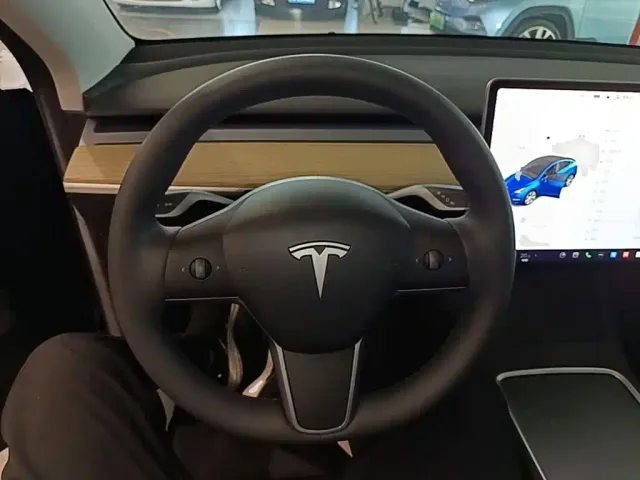 Tesla Model Y — Фото автомобиля 10