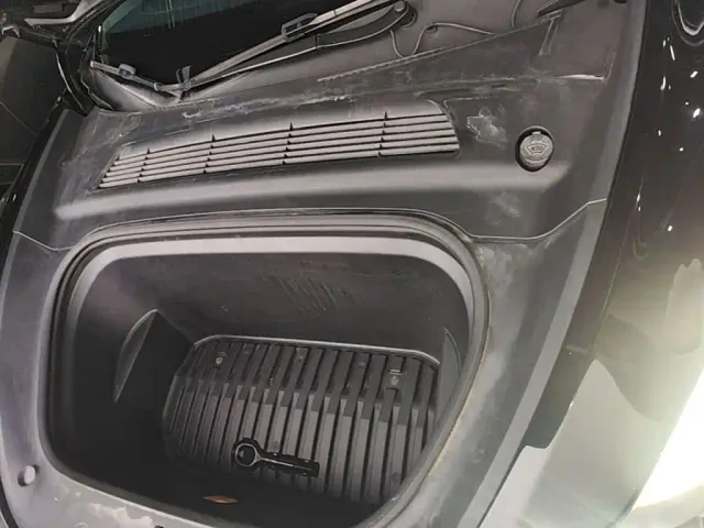 Tesla Model Y — Фото автомобиля 15