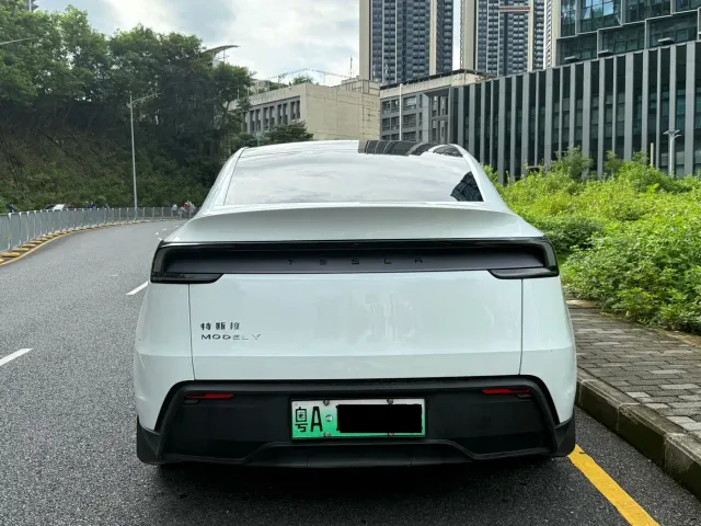 Tesla Model Y — Фото автомобиля 17