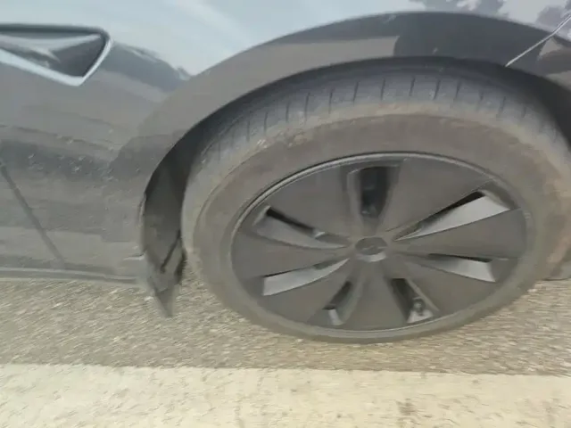 Tesla Model 3 2025 Model Rear-Wheel Drive Edition — Фото автомобиля 6