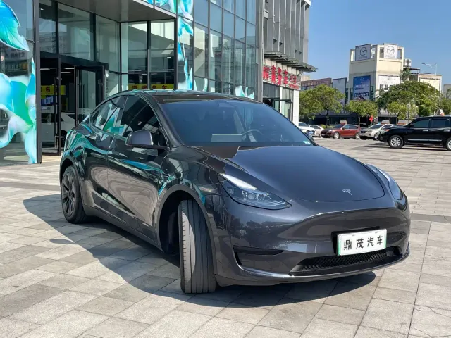 Tesla Model Y — Фото автомобиля 8