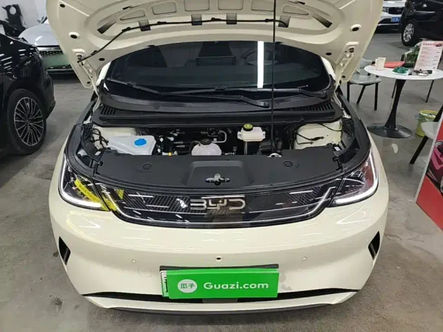 BYD Dolphin — Фото автомобиля 19