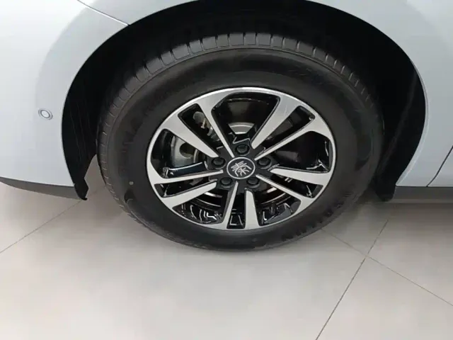 BYD Qin PLUS — Фото автомобиля 22