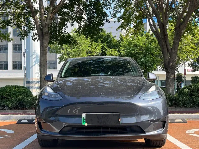 Tesla Model Y — Фото автомобиля 2
