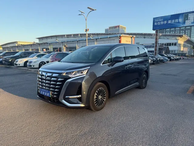 Фотография автомобиля — Denza D9