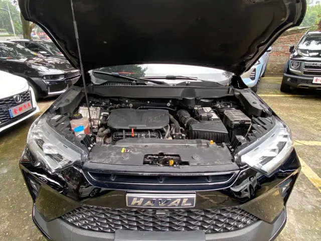 Haval H6S — Фото автомобиля 15