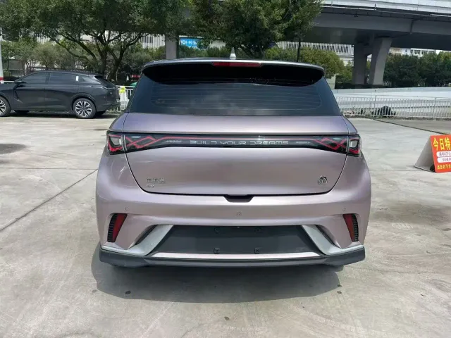 BYD Dolphin 2021 401km Knight Edition — Фото автомобиля 2