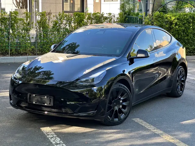 Tesla Model Y — Фото автомобиля 2