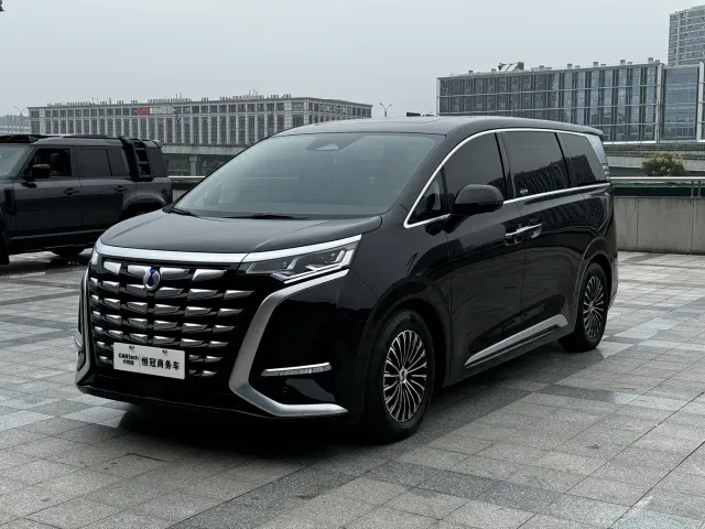 Фотография автомобиля — Denza D9