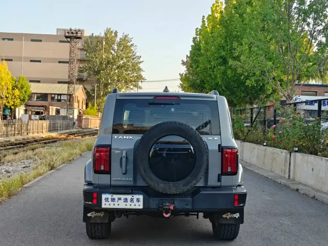 Tank Tank 300 2021 Urban Edition 2.0T Essential — Фото автомобиля 6