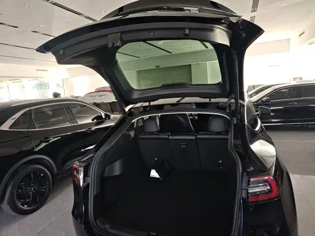 Tesla Model Y — Фото автомобиля 18