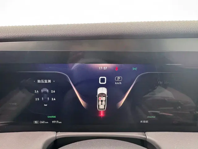 Hongqi Hongqi E-HS9 2021 460km Flagship Comfort 6-seater — Фото автомобиля 12