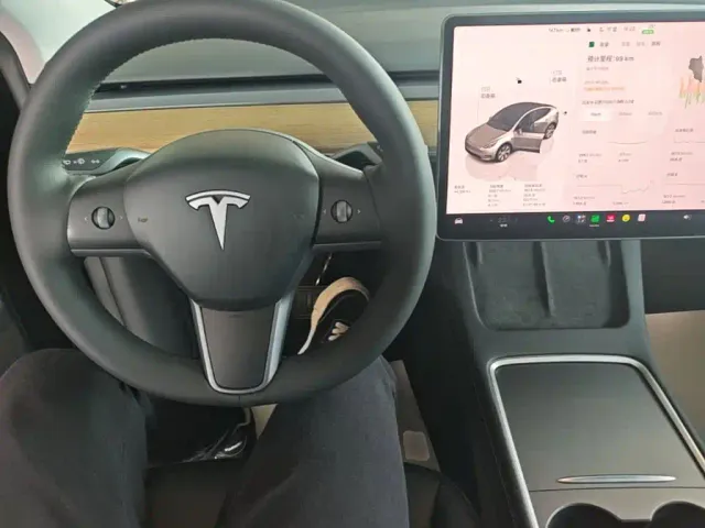Tesla Model Y — Фото автомобиля 9