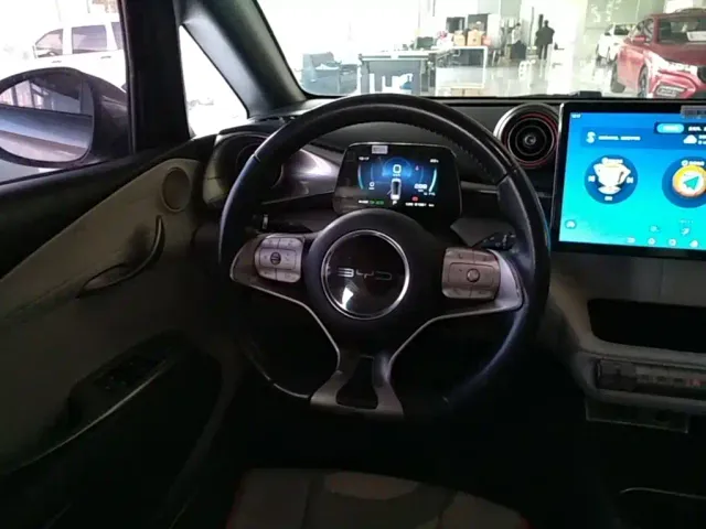 BYD Dolphin — Фото автомобиля 10