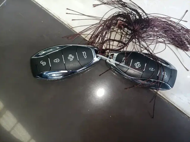 Hongqi Hongqi H5 2024 2.0T Automatic Smart Connect Flag Smooth Edition — Фото автомобиля 8