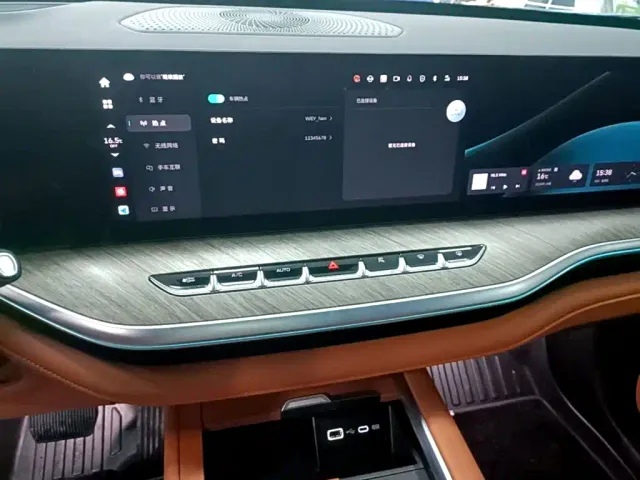 Wey Lanshan — Фото автомобиля 12