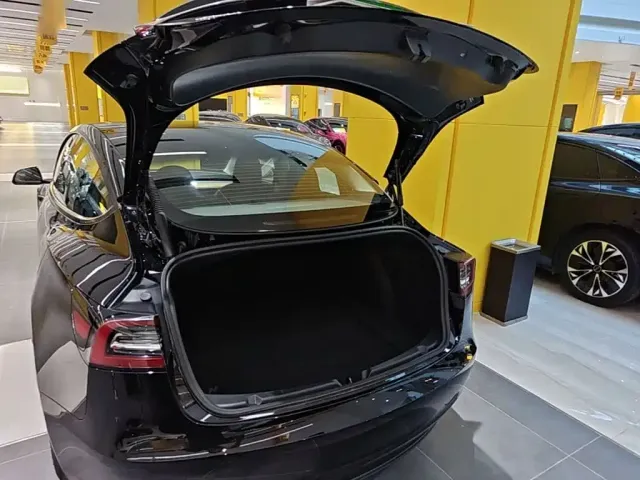 Tesla Model 3 — Фото автомобиля 18