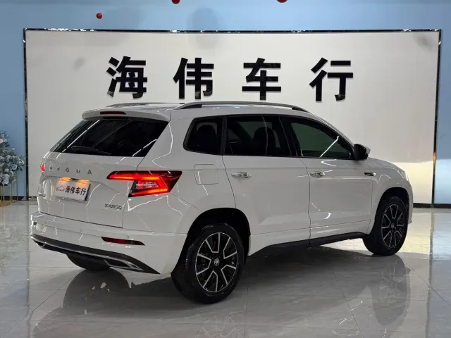 Skoda Karoq — Фото автомобиля 8