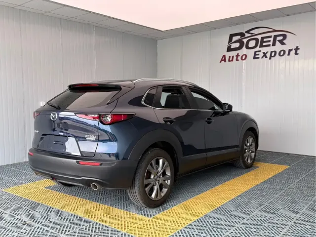 Mazda Mazda CX-30 2021 2.0L Auto Premium Joy Type — Фото автомобиля 6