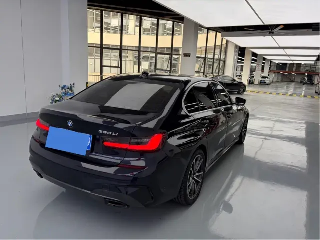 BMW 3 Series — Фото автомобиля 13