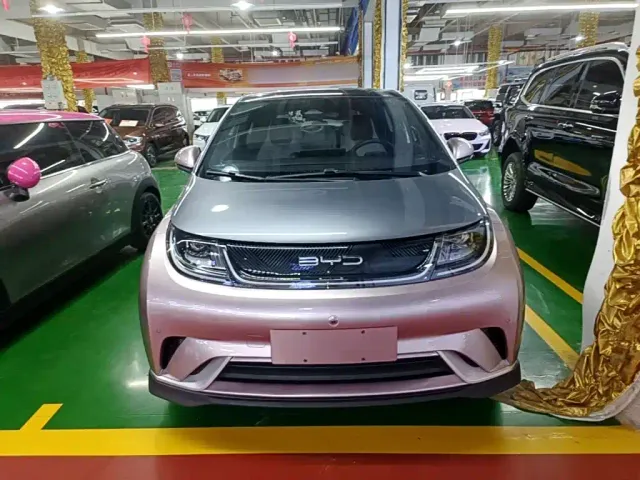 BYD Dolphin — Фото автомобиля 2