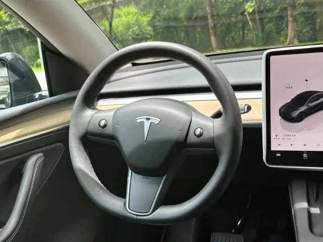 Tesla Model Y — Фото автомобиля 12