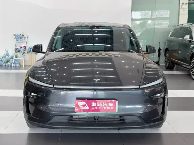 Tesla Model Y — Фото автомобиля 2
