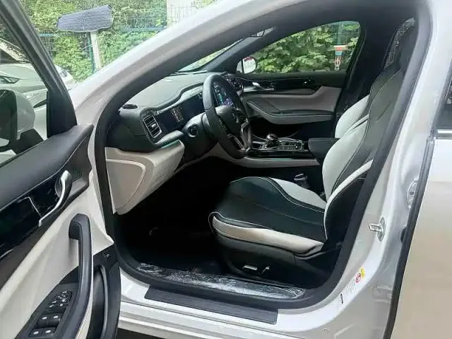 BYD Qin PLUS — Фото автомобиля 4