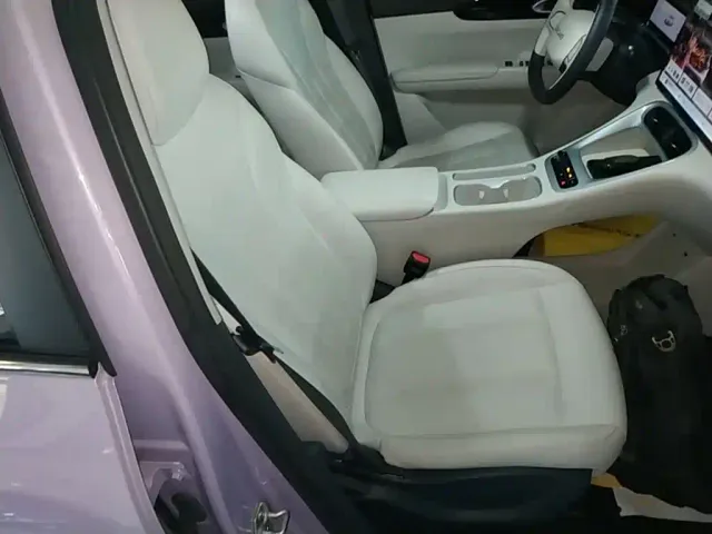 Geely Starry Wish — Фото автомобиля 24