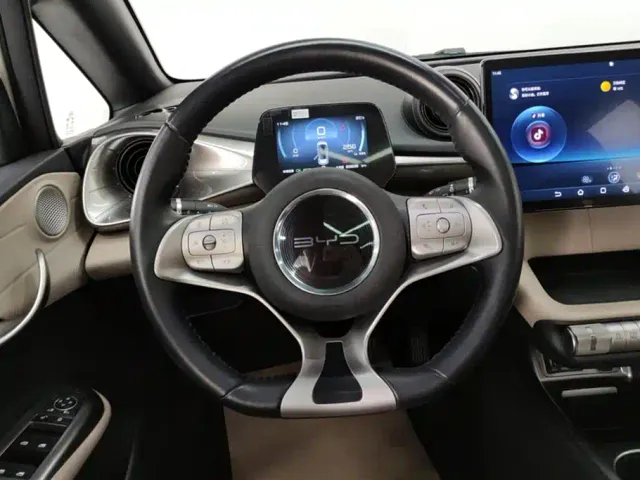BYD Dolphin — Фото автомобиля 15
