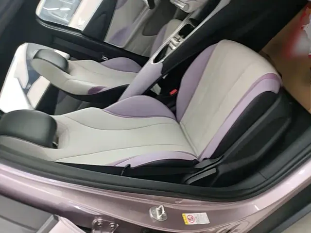 BYD Dolphin — Фото автомобиля 24