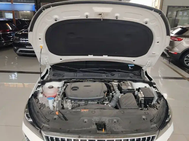 Geely Emgrand — Фото автомобиля 19